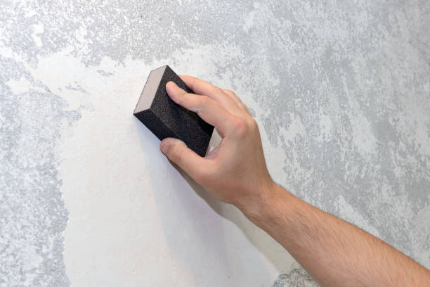 Best Mold Removal for HVAC Installations  in Honeygo, MD