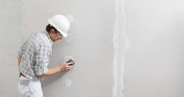 Best Asbestos and Lead Testing During Mold Inspection  in Honeygo, MD