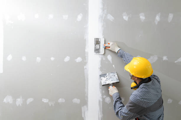 Best Mold Prevention Services  in Honeygo, MD