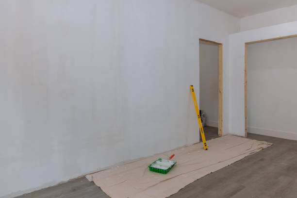 Best Water Damage & Mold Remediation  in Honeygo, MD