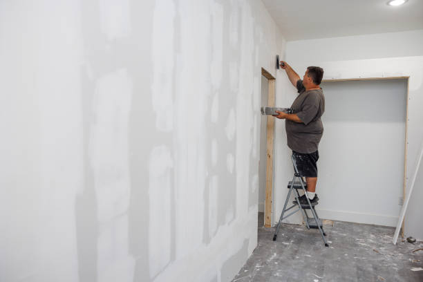 Best Crawl Space Mold Remediation  in Honeygo, MD
