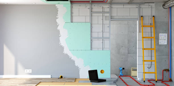 Best Real Estate Mold Inspection  in Honeygo, MD