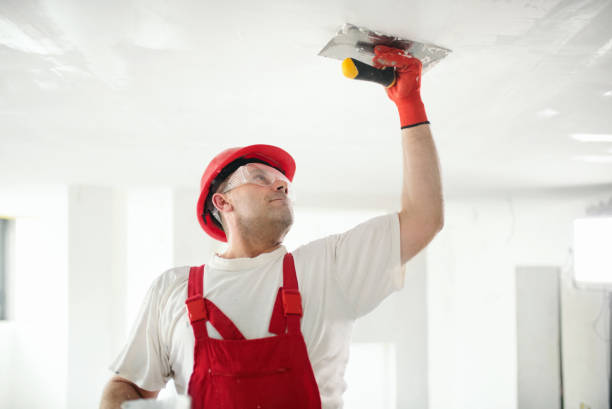 Mold Documentation for Insurance Claims in Honeygo, MD