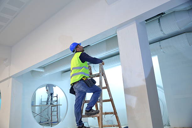 Reliable Honeygo, MD Mold Removal Solutions