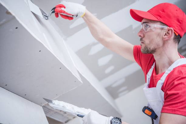Best Forensic Mold Investigation  in Honeygo, MD